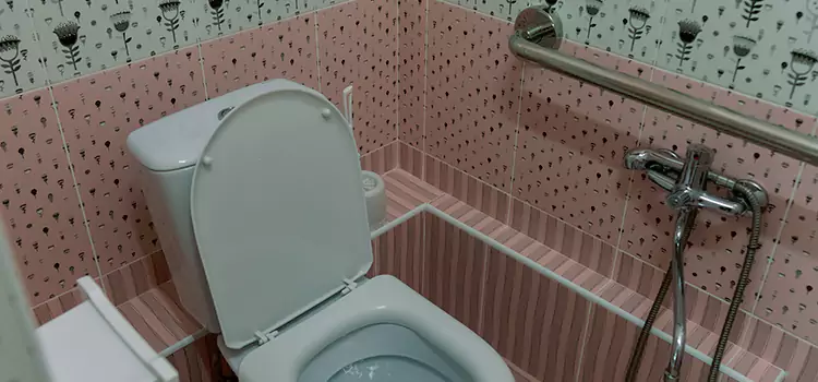 Meeting Diverse Needs With Accessible Restroom Solutions in Germantown, TN